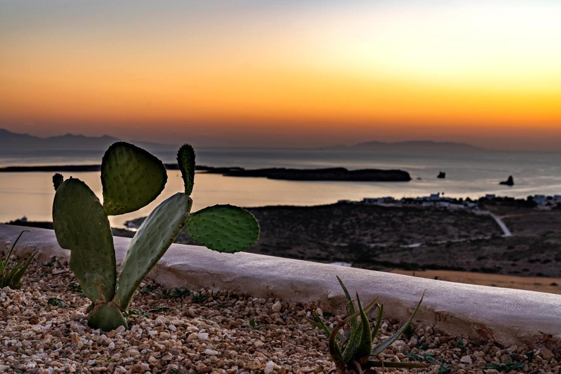 Mythic Paros , Adults Only Agia Irini (Paros) Quarto foto